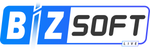 logo Bizsoft